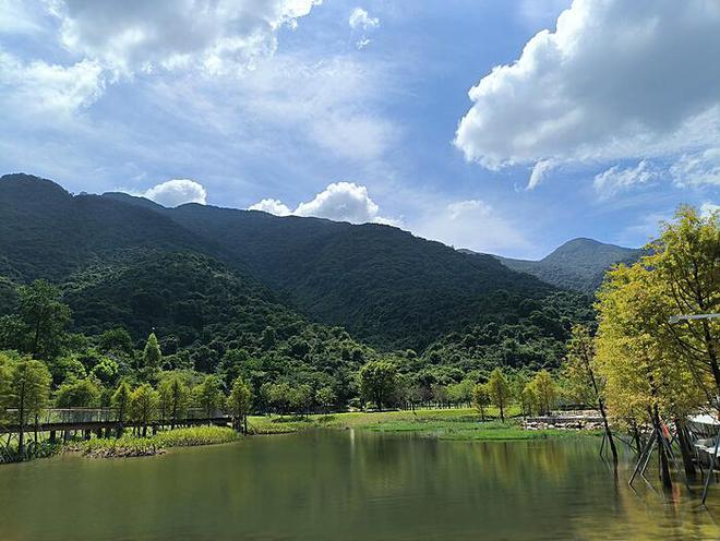 戈兰高地：叙利亚村庄居民遭遇以军驱逐的悲剧